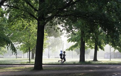 „Sport im Park“ in Kaarst erfolgreich beendet